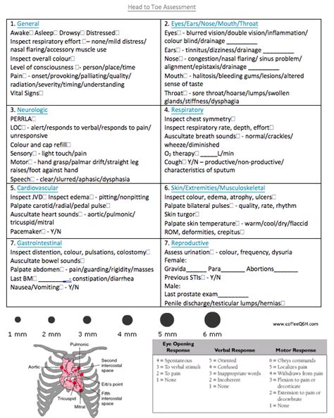 Head To Toe Assessment Nursing Cheat Sheet Slide Share