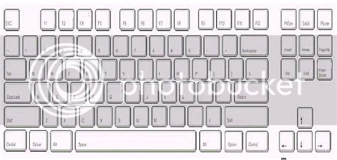 blank keyboard printout white gold
