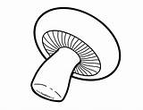 Fungi Drawing Clipartmag Mushroom Outline sketch template