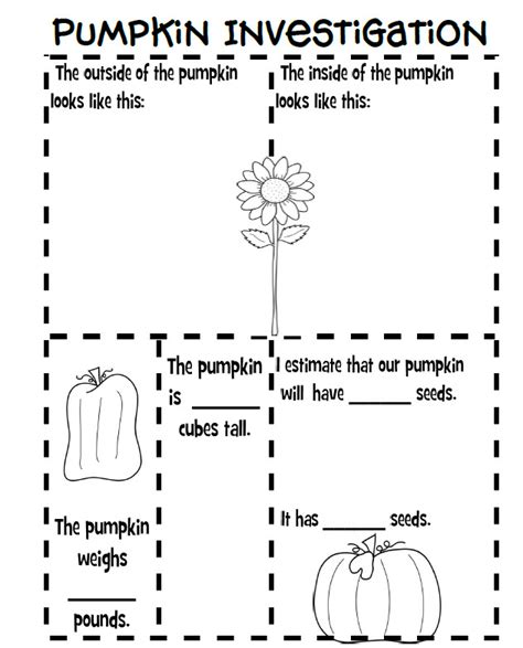 fun   pumpkin investigation