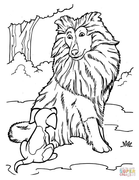 rough collie drawing coloring pages