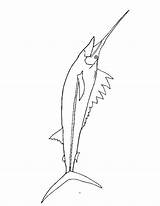 Swordfish sketch template
