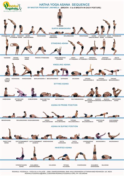 hatha yoga primary series  yogi prashant hatha yoga training india