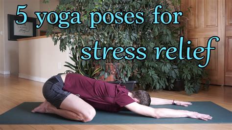 yoga poses  stress relief youtube