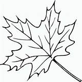 Blatt Herbst Blätter Ausmalbilder Malvorlagen Schablone sketch template