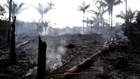 duizenden branden  amazonegebied wat  er aan de hand nos