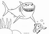 Nemo Coloring Pages Cool2bkids sketch template