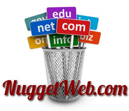 helpful tips  choosing  domain  nuggetwebcom