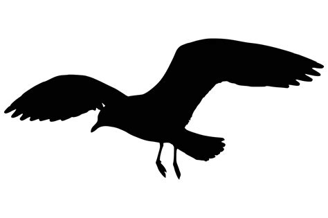 seagull silhouette clipart