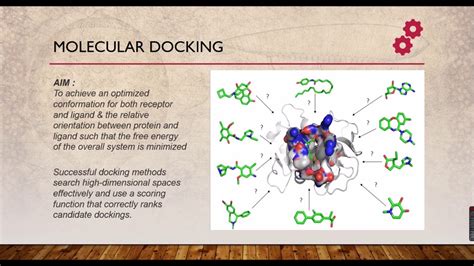 molecular docking  youtube