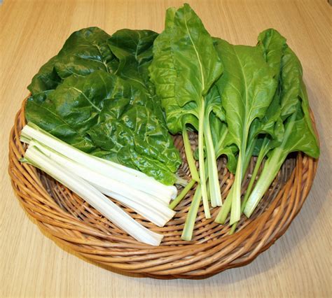 marks veg plot prize winning spinach