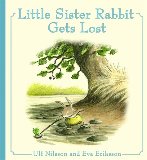 review of little sister rabbit gets lost 9781782503774