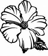 Hibiscus Hawaiian Bestcoloringpagesforkids Clipartmag sketch template