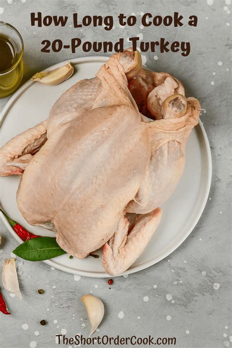 How Long To Cook A 20 Pound Turkey The Short Order Cook