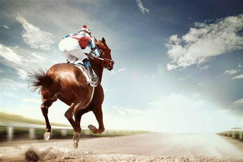 choosing   horse racing apps  beginners horse  rider