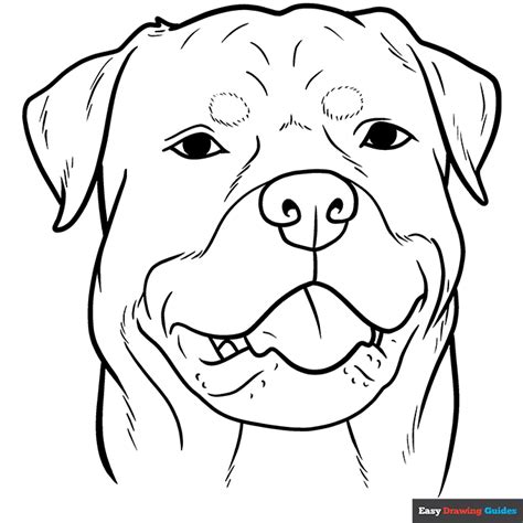 dog face coloring page easy drawing guides