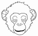 Chimpanzee 2773 Coloriage Ohbq Tad Explorateur Coloriages sketch template