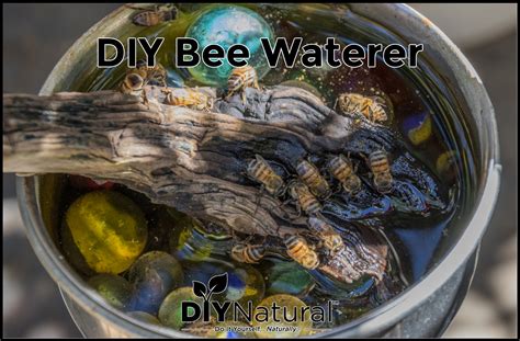 bee waterer     quick  easy bee watering station
