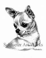 Chihuahua sketch template