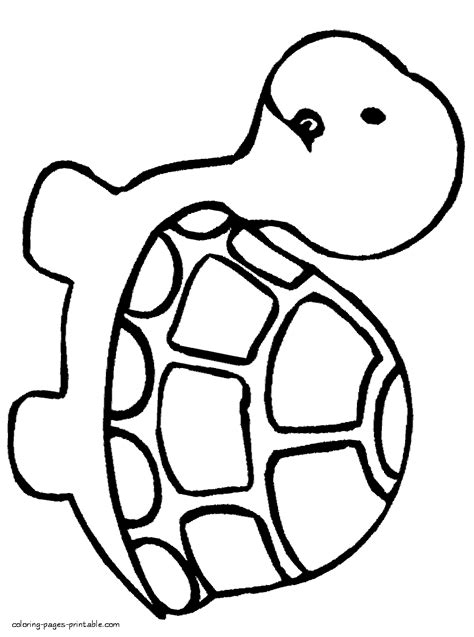 zoo coloring pages  preschoolers coloring pages