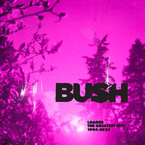 loaded  greatest hits   album  bush apple