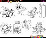 Moscas Mosca Flies Coloriage Muchy Mouches Mosche Coloreadas Kolorowanka Insects Housefly Druku Insectos Poo Mouche Insect Fliegen Vecteurs Coloration Placé sketch template