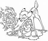 Coloring Thumper Pages Bambi Disney Walt Drawing Personnages sketch template