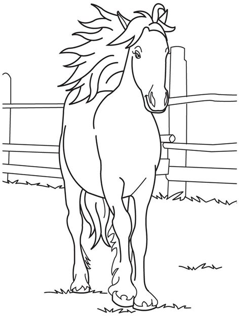 cool horse coloring pages  printable coloringfoldercom