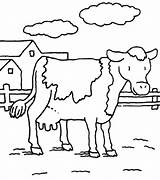 Farm Cow Coloring Drawing Drawings Angus Pages Getdrawings Milk sketch template