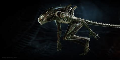 aliens fireteam elites scariest xenomorphs