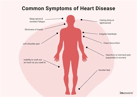 11 common signs of an unhealthy heart imaware™