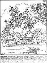 Dover Publications Kleurplaten Doverpublications Afkomstig sketch template