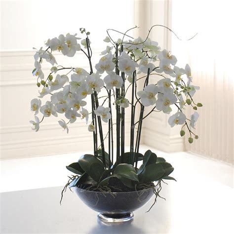 Phalaenopsis Orchid In Glass Bowl Frontgate