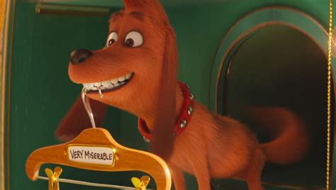 grinch dog star adorable max finally    feature