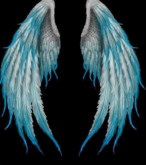 angel wings  pikoto  deviantart wings drawing angel wings images