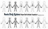 Coloring Body Pages Systems Human System Outline Popular sketch template