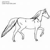 Mare Arabian Coloring Prancing Pages Color Horse Index Own sketch template