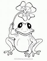 Frogs Frog sketch template