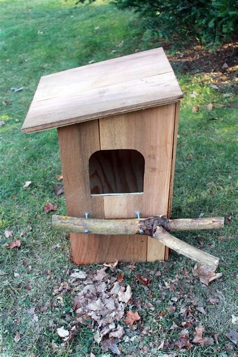 barred owl bird house plans bird house plans owl nest box bird house