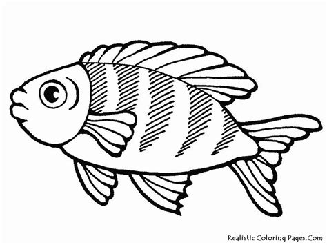 sea life coloring pages realistic coloring pages
