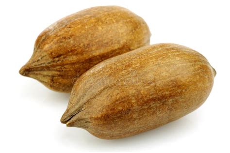 pecan nuts stock image image  delicious