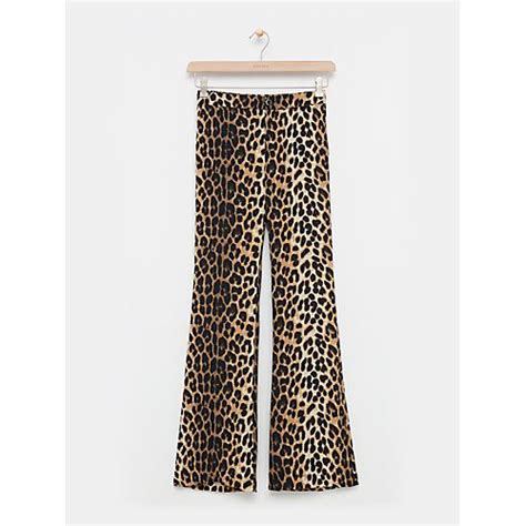broek leopard flare pants costes fashion inspo broek outfit broeken
