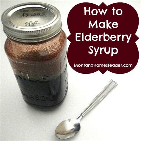 homemade elderberry syrup montana homesteader natural