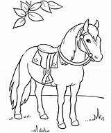 Coloring Pages Jockey Horse Getcolorings sketch template