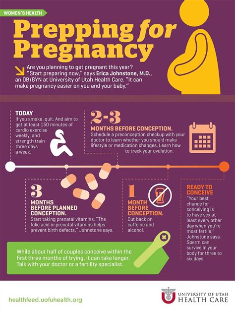 infographic  pregnancy   baby doo prepping