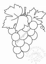 Grapes Template Bunch sketch template