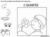 Colorare Sensi Cinque Sui Schede Didattiche Udito Olfatto Gusto Stampa Senso Libricino Scuola Vista Classe Bambino Esercizi Attività 126maestramaria Tatto sketch template