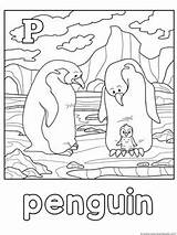 Coloring Penguin sketch template