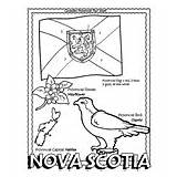 Morse Crayola Scotia Province Nova sketch template