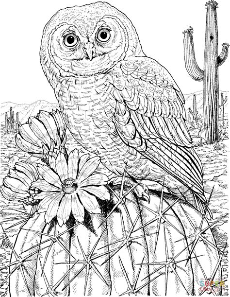 owl coloring page  adults google search tree coloring page
